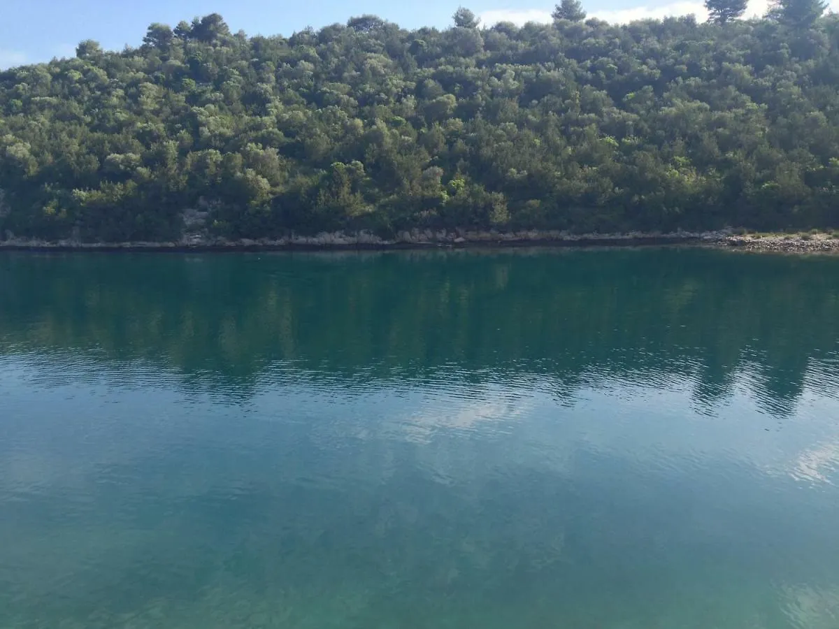 Vacation Home Viducic Dragove