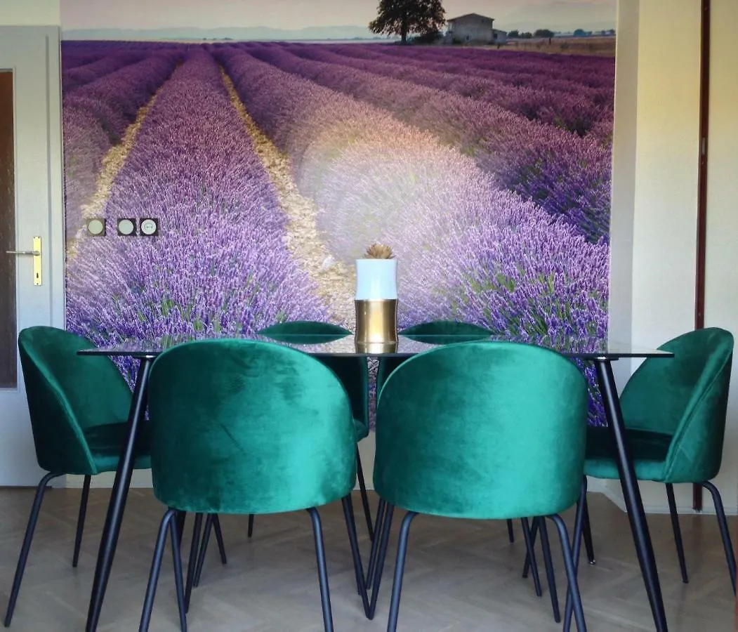 Vacation Home Viducic Dragove