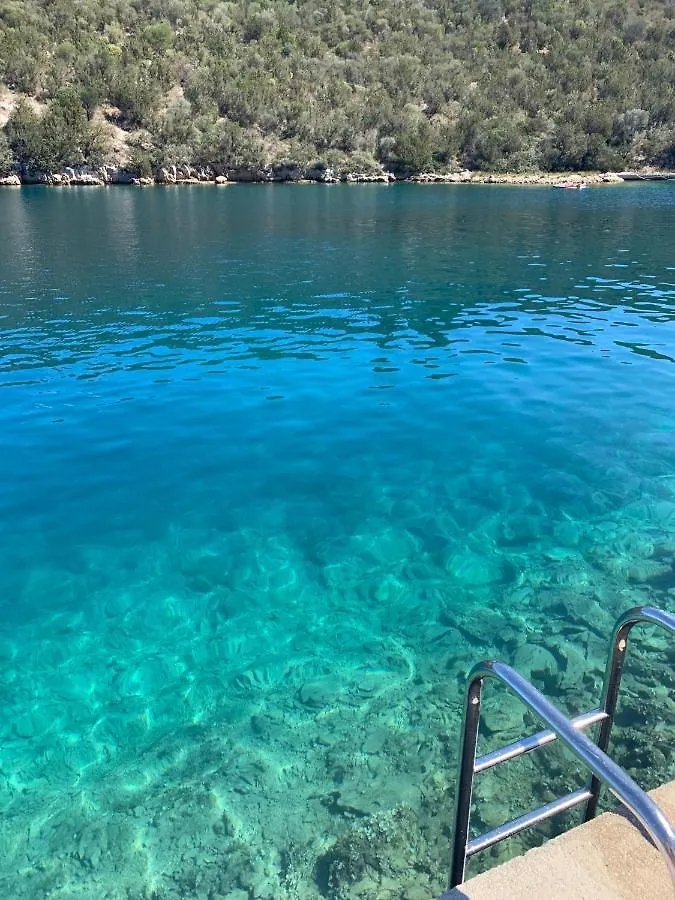 Tatil Evi Vacation Home Viducic Dragove Hırvatistan